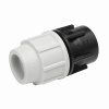 Female BSP Adaptors (7030)