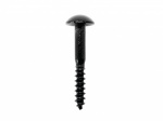Domehead Downpipe Screw (No.12 x 50mm) Heritage Black