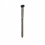 Hexagonal Screw (No.12 x 70mm) Heritage Black